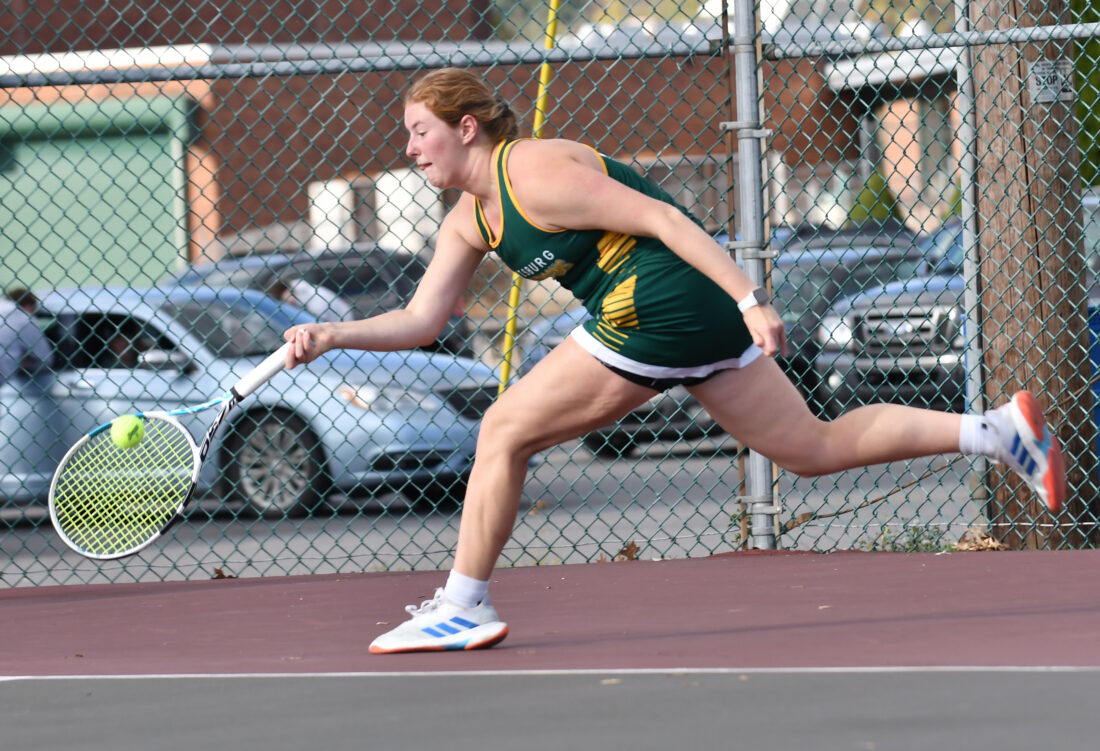 Hughesville blanks Lewisburg to advance to district semis News